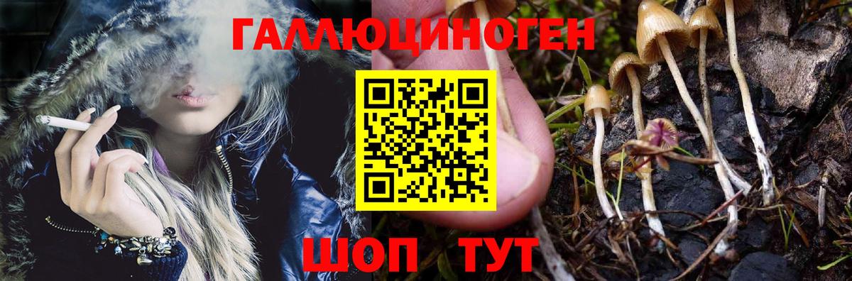 Бугульма  Галлюциногенные грибы GOLDEN TEACHER  купить   Вход с VPN  Галлюциногенные грибы Magic Shrooms 